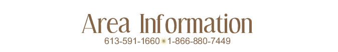 Area Information